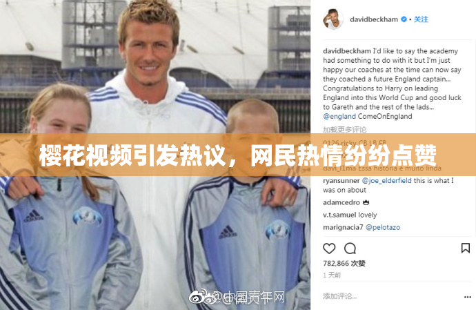 樱花视频引发热议，网民热情纷纷点赞