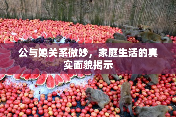 公与媳关系微妙，家庭生活的真实面貌揭示