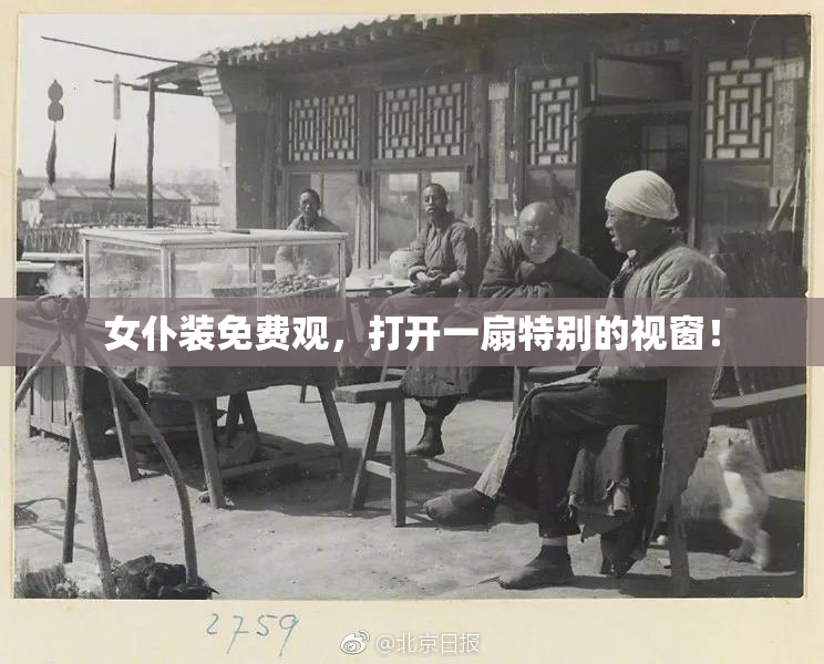 女仆装免费观，打开一扇特别的视窗！
