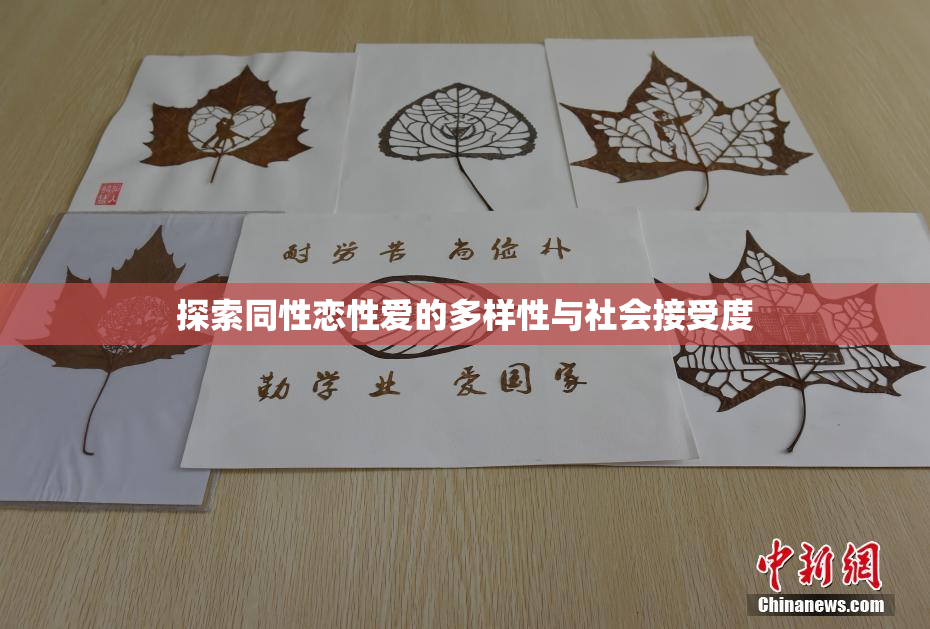 探索同性恋性爱的多样性与社会接受度