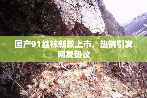 国产91丝袜新款上市，热销引发网友热议