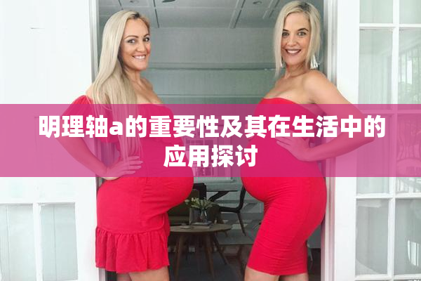 明理轴a的重要性及其在生活中的应用探讨