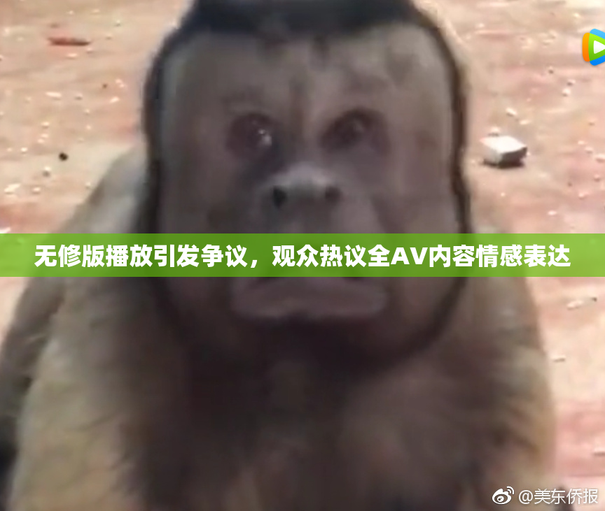 无修版播放引发争议，观众热议全AV内容情感表达