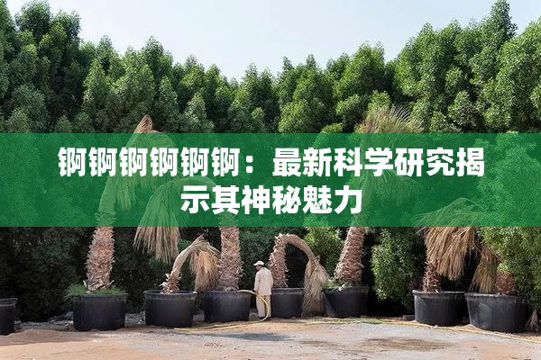 锕锕锕锕锕锕：最新科学研究揭示其神秘魅力