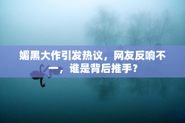 媚黑大作引发热议，网友反响不一，谁是背后推手？