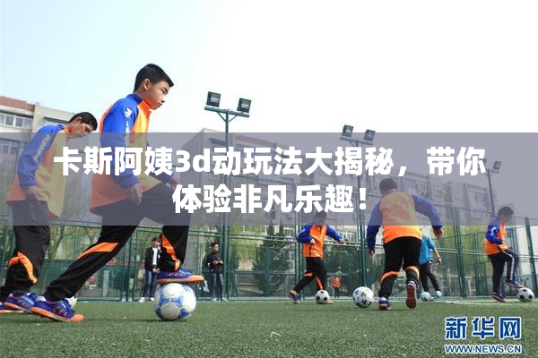卡斯阿姨3d动玩法大揭秘，带你体验非凡乐趣！