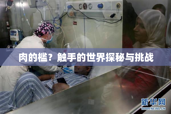 肉的槛？触手的世界探秘与挑战