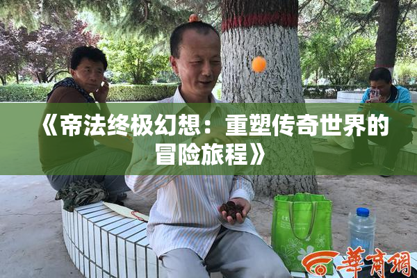 《帝法终极幻想：重塑传奇世界的冒险旅程》