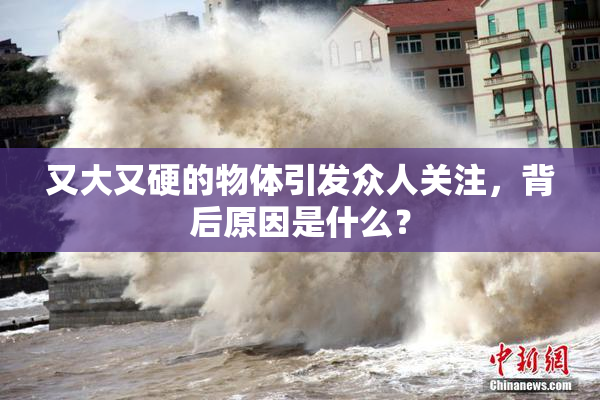 又大又硬的物体引发众人关注，背后原因是什么？