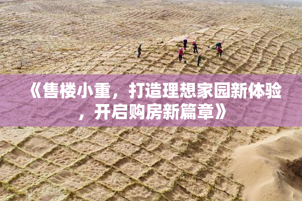 《售楼小重，打造理想家园新体验，开启购房新篇章》