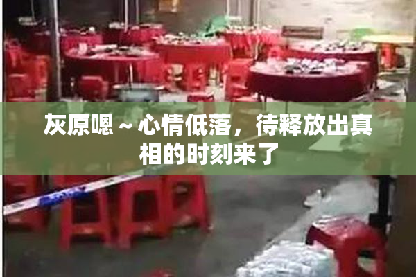 灰原嗯～心情低落，待释放出真相的时刻来了