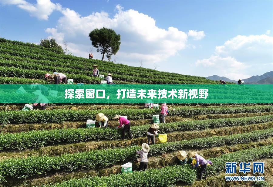 探索窗口，打造未来技术新视野