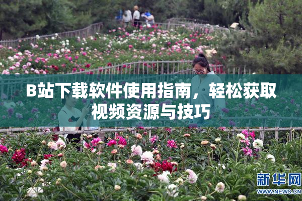B站下载软件使用指南，轻松获取视频资源与技巧