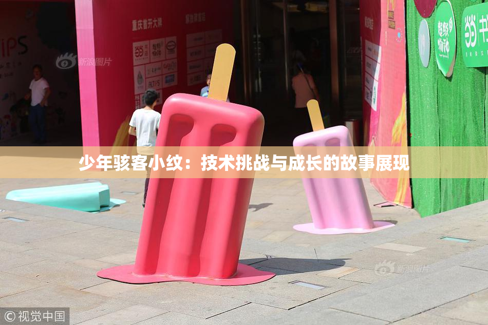 少年骇客小纹：技术挑战与成长的故事展现
