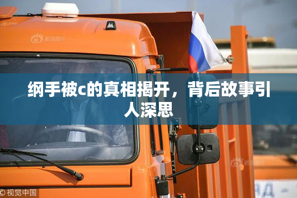纲手被c的真相揭开，背后故事引人深思