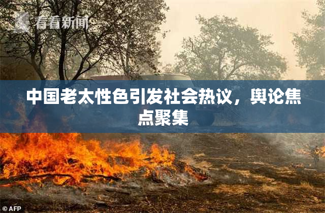 中国老太性色引发社会热议，舆论焦点聚集