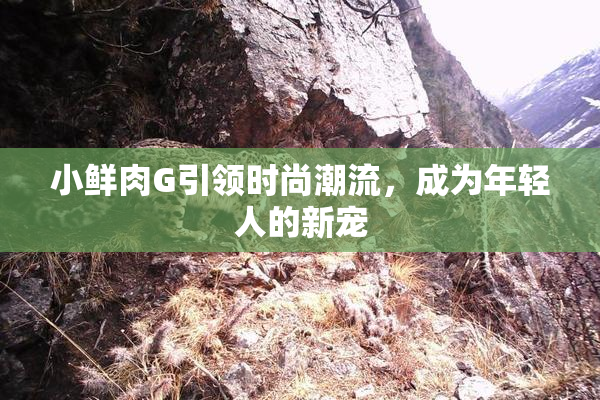 小鲜肉G引领时尚潮流，成为年轻人的新宠