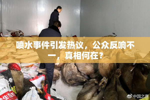 喷水事件引发热议，公众反响不一，真相何在？