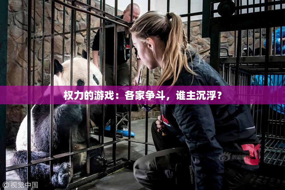 权力的游戏：各家争斗，谁主沉浮？