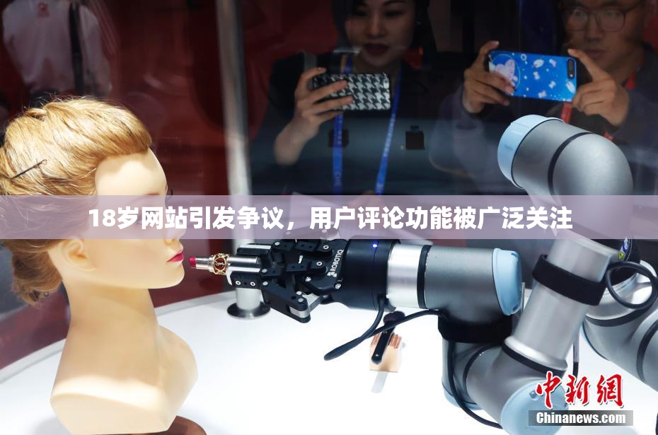 18岁网站引发争议，用户评论功能被广泛关注
