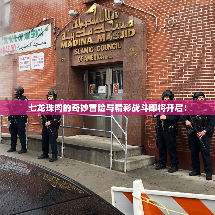 七龙珠肉的奇妙冒险与精彩战斗即将开启！
