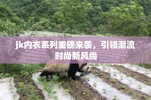jk内衣系列重磅来袭，引领潮流时尚新风尚