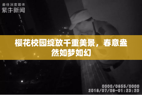 樱花校园绽放千重美景，春意盎然如梦如幻