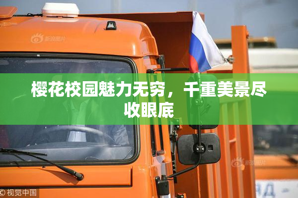樱花校园魅力无穷，千重美景尽收眼底