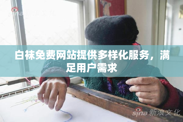 白袜免费网站提供多样化服务，满足用户需求