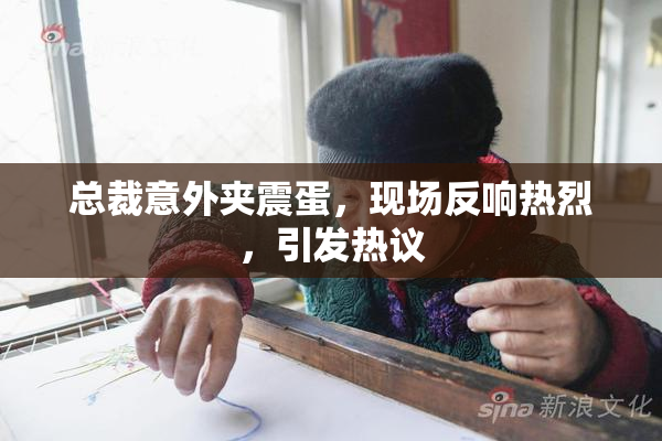 总裁意外夹震蛋，现场反响热烈，引发热议