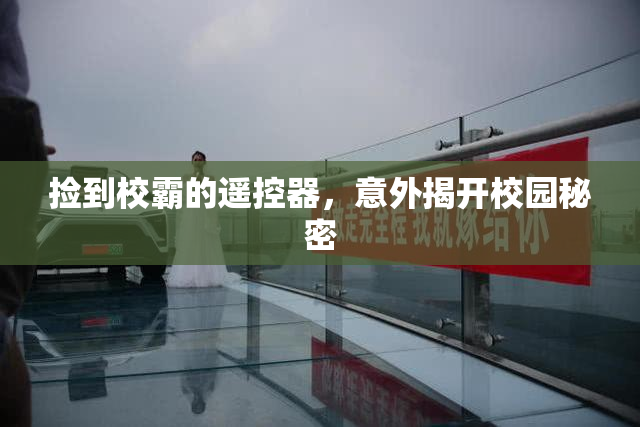 捡到校霸的遥控器，意外揭开校园秘密