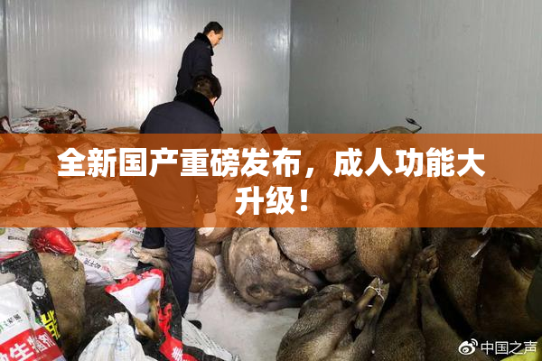 全新国产重磅发布，成人功能大升级！