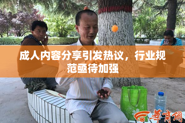 成人内容分享引发热议，行业规范亟待加强