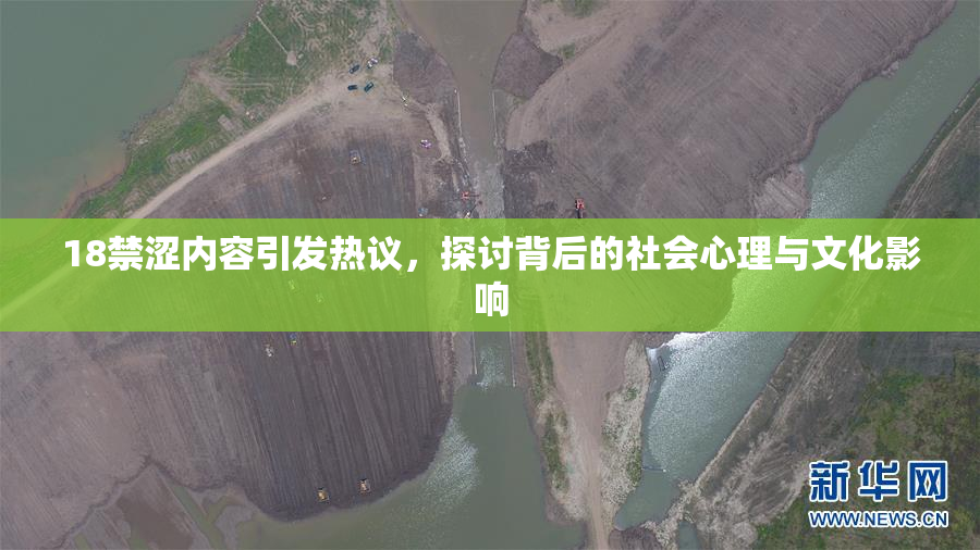 18禁涩内容引发热议，探讨背后的社会心理与文化影响