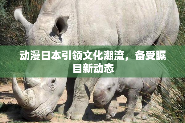 动漫日本引领文化潮流，备受瞩目新动态