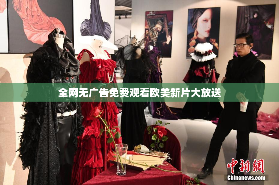 全网无广告免费观看欧美新片大放送