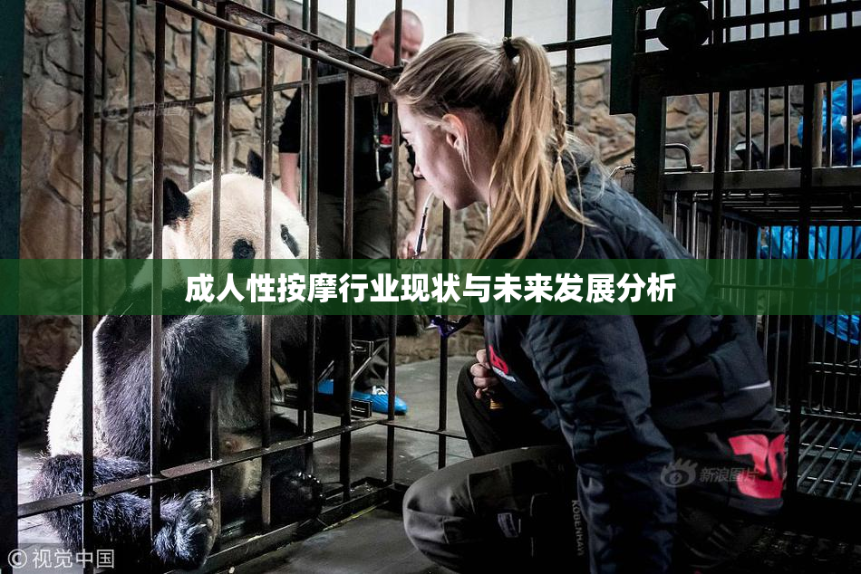 成人性按摩行业现状与未来发展分析