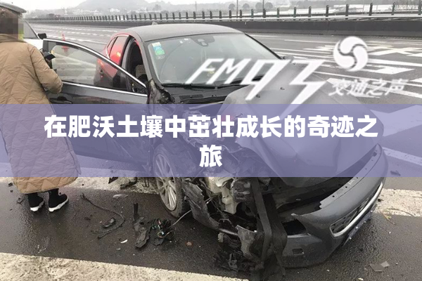 在肥沃土壤中茁壮成长的奇迹之旅