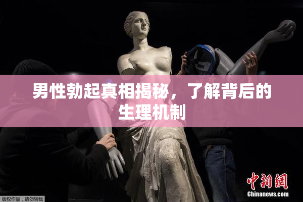 男性勃起真相揭秘，了解背后的生理机制