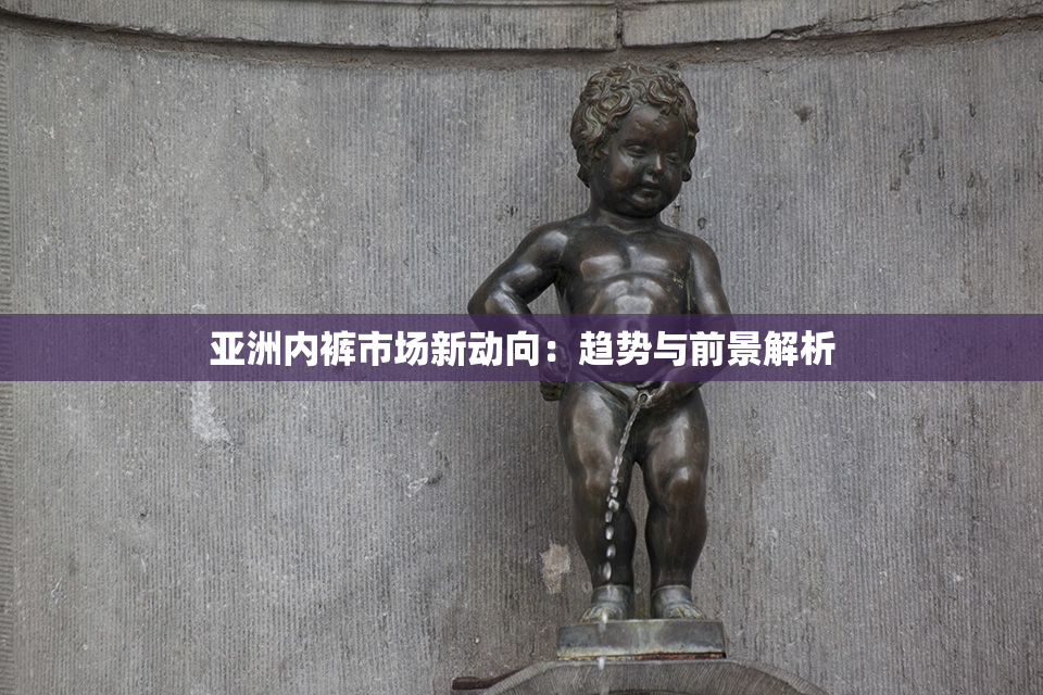 亚洲内裤市场新动向：趋势与前景解析