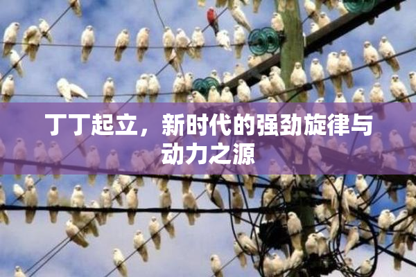 丁丁起立，新时代的强劲旋律与动力之源
