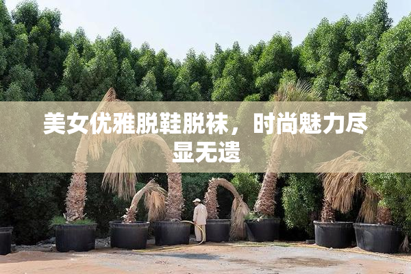 美女优雅脱鞋脱袜，时尚魅力尽显无遗