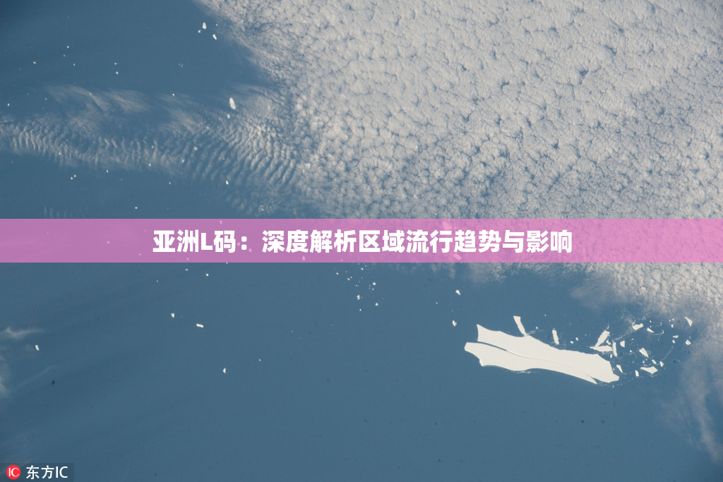 亚洲L码：深度解析区域流行趋势与影响