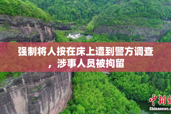强制将人按在床上遭到警方调查，涉事人员被拘留