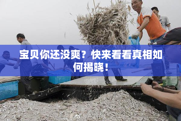 宝贝你还没爽？快来看看真相如何揭晓！