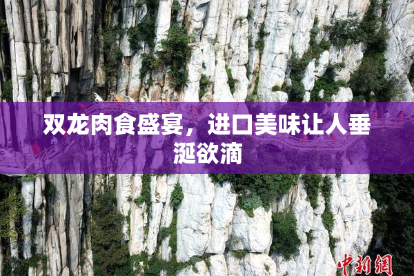 双龙肉食盛宴，进口美味让人垂涎欲滴