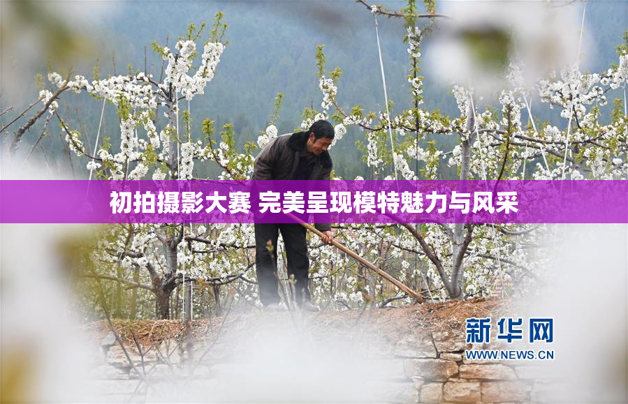 初拍摄影大赛 完美呈现模特魅力与风采