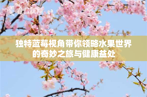 独特蓝莓视角带你领略水果世界的奇妙之旅与健康益处