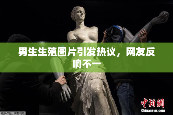 男生生殖图片引发热议，网友反响不一