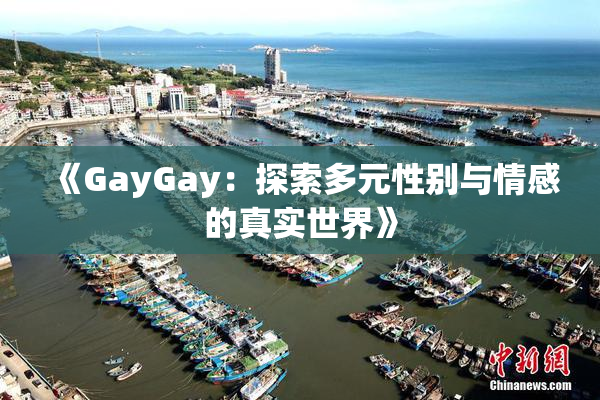《GayGay：探索多元性别与情感的真实世界》
